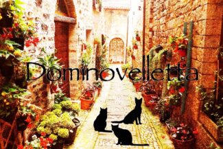 <span class="title">2026.02.15.SUN<br>〜はじめてのドミベレ〜</span>